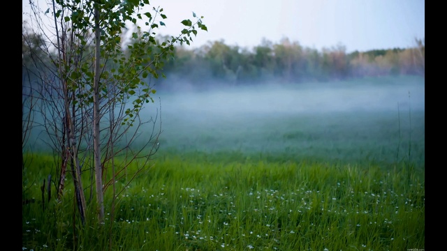 Misty смотреть онлайн