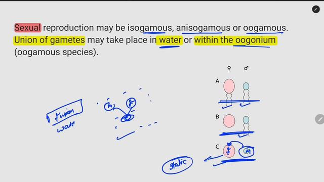 Algae 2 (plant kingdom) Neet 2024 and 11th biology смотреть онлайн