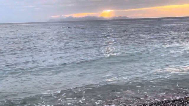 Мандельштам. смотреть онлайн