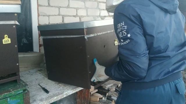 Чистка доньев в ульях "Новичок" смотреть онлайн