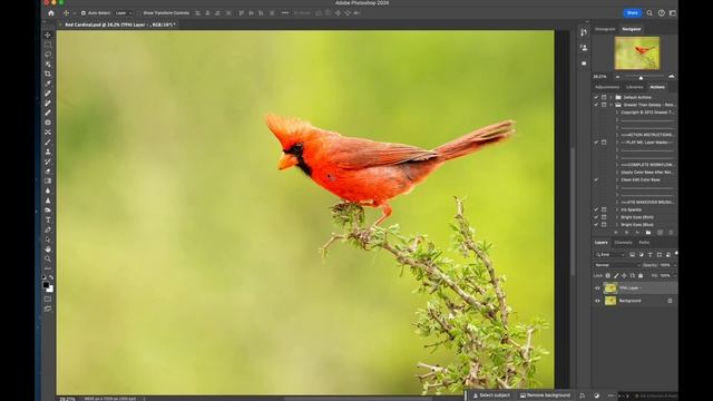 Topaz Photo AI Upscale Tool смотреть онлайн