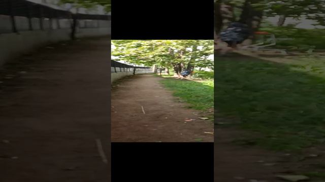 как ездит наша телега