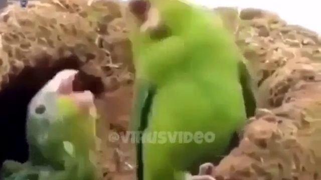 Когда с другом услышали любимый трек.mp4