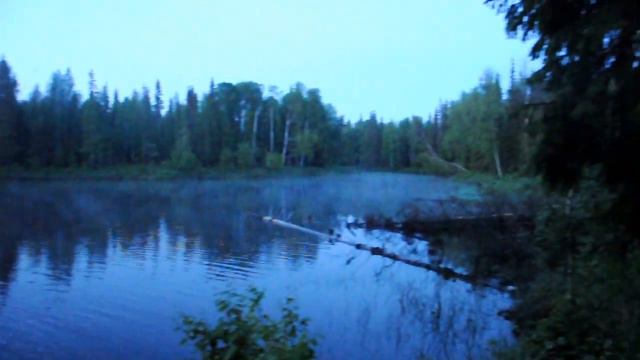 Стоянка Муравьев,речка Никодимка.Песни от Кости.Июль 2017г. смотреть онлайн