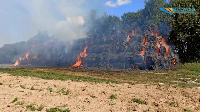 За детские шалости с огнем по закону ответили родители смотреть онлайн