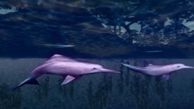 Hunter Dan's Bowfishing Survival Gauntlet (PC) w/ Gizmo смотреть онлайн