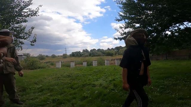 ||ДЕНЬ 176|| Уехал на первую пасеку. Перевёз восемь семей. Пацанов покусали пчёлы. Семья. смотреть онлайн