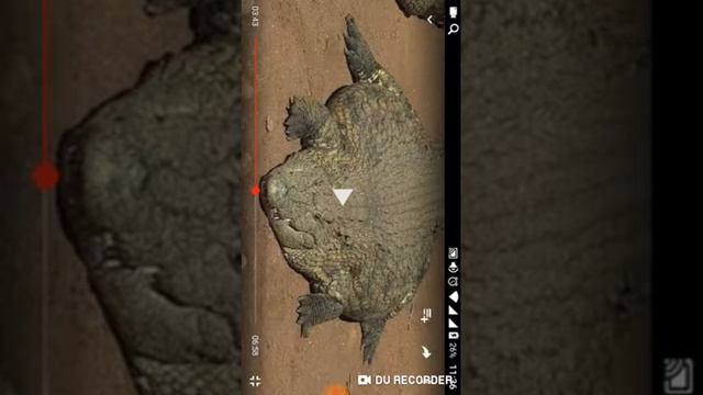 Не засмейся Челлендж смотреть онлайн