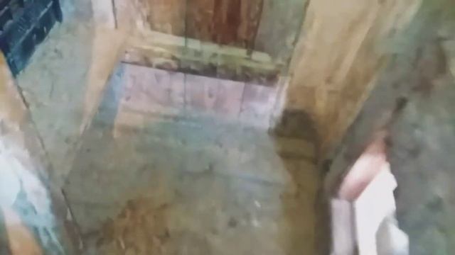 Какие у меня куриные гнезда | Решила не заморачиваться