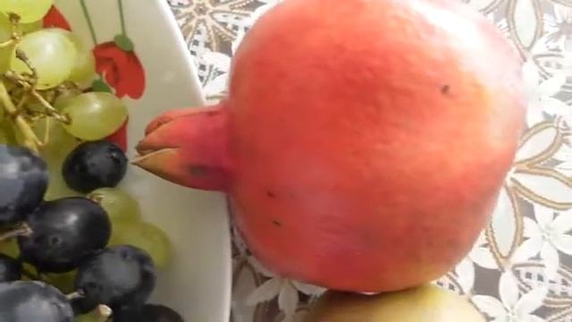 Виноград с гранатом смотреть онлайн