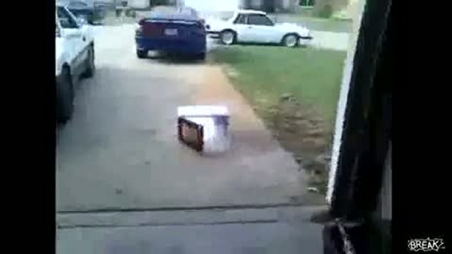 Подборка ноябрьских неудачников / www.kengarags.ru смотреть онлайн