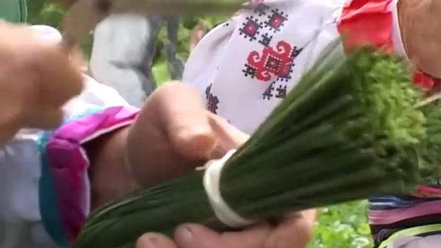 День города – 2015 в Алексеевке