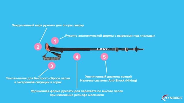 Отличия треккинговых и скандинавских палок смотреть онлайн