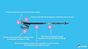 Отличия треккинговых и скандинавских палок