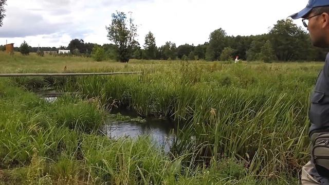 Ловля форели тенкарой на мушку • в болоте смотреть онлайн
