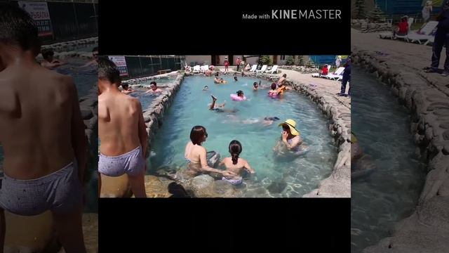 Дельфин эс алуу борбору. Чоң Өрүктү. Ысыккөл. смотреть онлайн