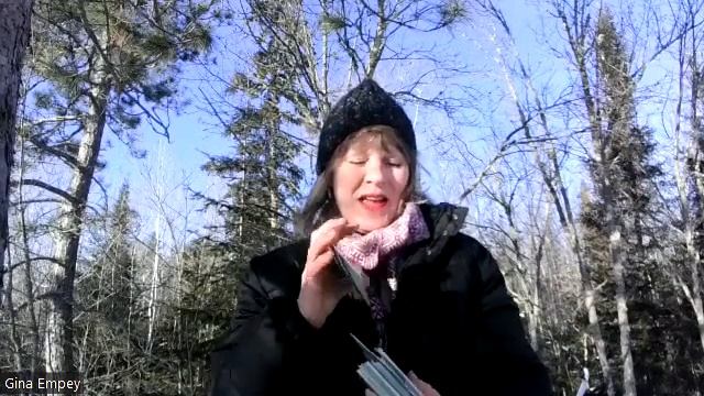 Reiki Energy for Grounding! Animal Oracle reading! Astrology Update! Be Peace! Keep your Dream aliv смотреть онлайн