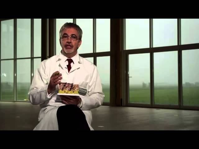 Все секреты о Вэлнэс смотреть онлайн