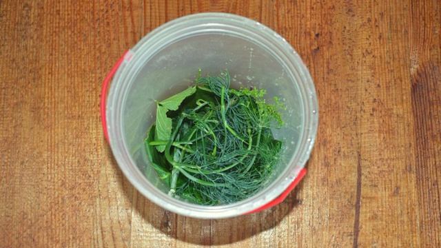 Сборник рецептов