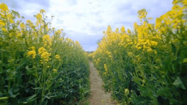 В чём смысл служения Богу? смотреть онлайн