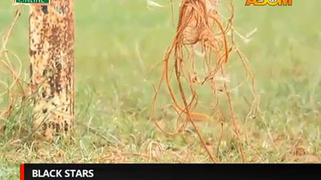 Million cedi stadium that served Tony Yeboah, C.K. Akonnor now a maize farm смотреть онлайн