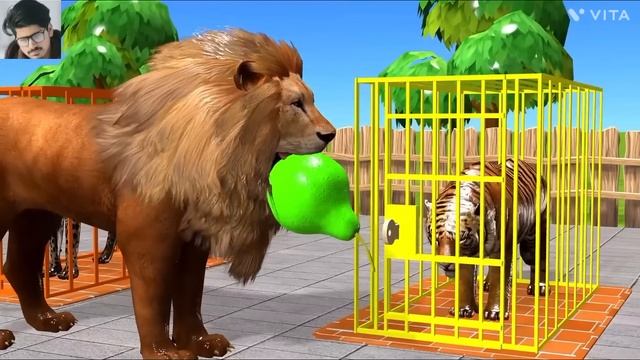 Wild Animal Game Choose The Right Iron Cage Eat Fruits Challenge With Gorilla Tiger Lion Bear Horse смотреть онлайн