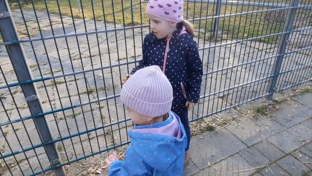 День рождения мужа 🥳 | Отдыхаем с детьми | Кормим рыб 🐟 | Смотрим животных смотреть онлайн