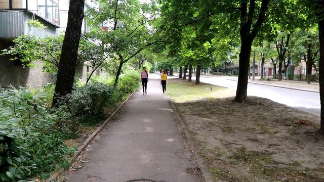 ЕСЛИ БЫ СОБАКА БЫЛА ЧЕЛОВЕКОМ смотреть онлайн