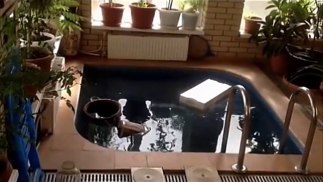 Тестируем газоблок в бытовых условиях