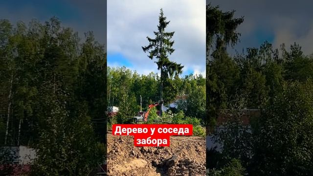 Как спилить дерево у забора соседа#дача #строительство #сад #благоустройство #экскаватор #дом #jcb смотреть онлайн