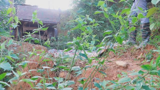 Pouring Cement on The Farm Building a Peaceful Family Life with Two Wives in The Green Forest. смотреть онлайн