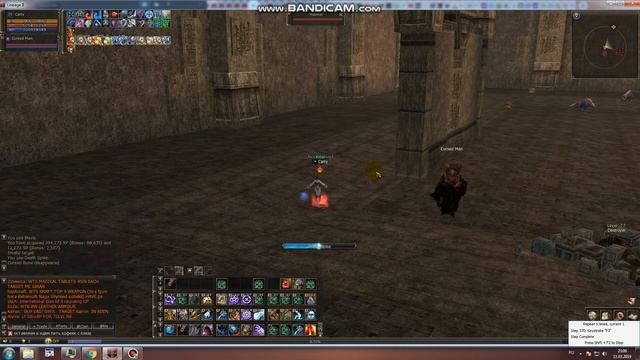 Macro vs Clicker(Lineage 2 Classic). Кач на макросе и кач на кликере. Free bot lineage 2 смотреть онлайн