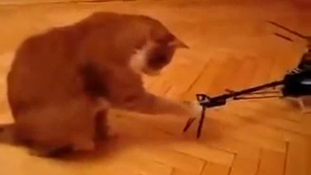 Ненавижу вертолёты. Меня в них укачивает!!! смотреть онлайн