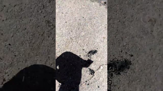 Car vibrating? Check your mounts. Saturn sc2 смотреть онлайн