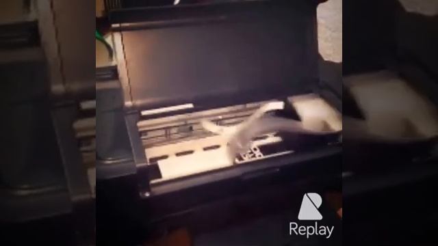 Impresión epson L110 смотреть онлайн