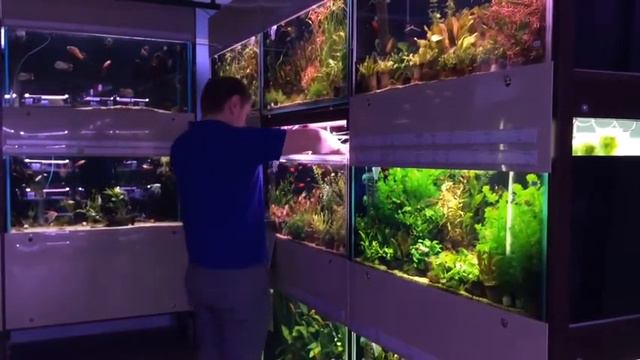 "АКВА ЛОГО на ВОЛЖСКОЙ" смотреть онлайн