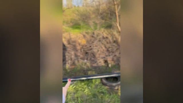 Дачный участок, летний домик и хозблок смотреть онлайн