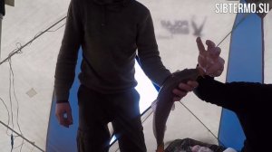 ЗИМНЯЯ РЫБАЛКА НА ОЗЕРЕ ЧАНЫ! КАК МЫ ЛЮБИМ!