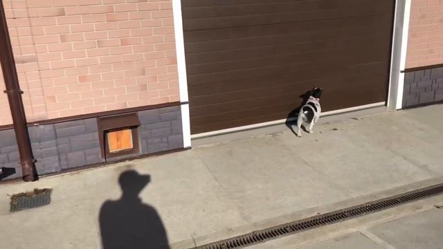 Короткая медитация смотреть онлайн