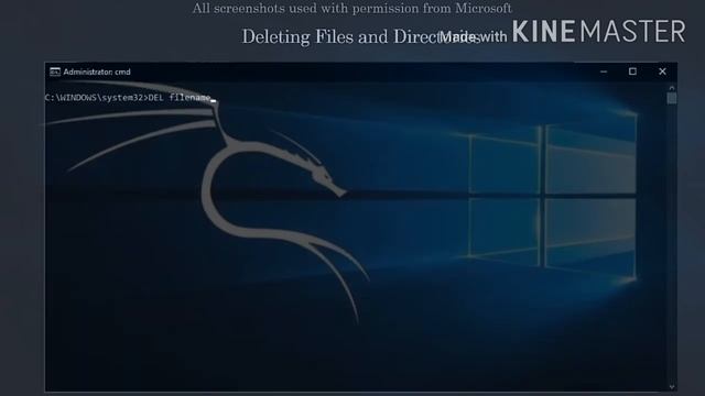 5. Deleting Files and Directories - Windows (CMD) смотреть онлайн