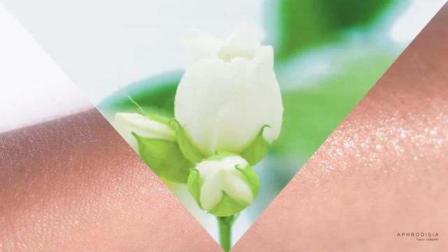 Увлажняющий спрей для тела Aphrodisia Body Mist от Bijoux Indiscrets