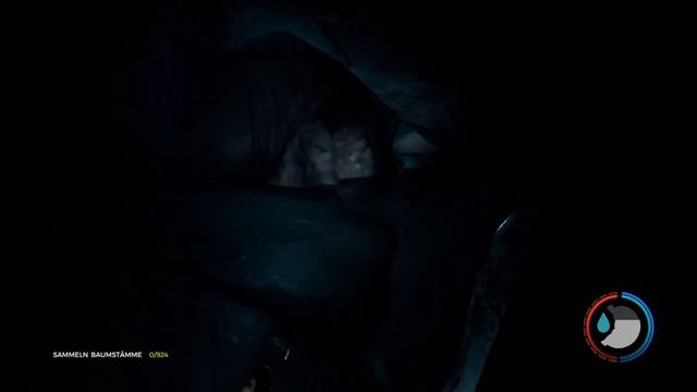 The Forest Katana Taschenlampe / Flashlight Fundort / Location ps4 смотреть онлайн