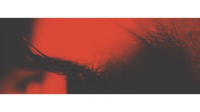 ROOMBOOK || Ад Вороновский. Лузер дня смотреть онлайн