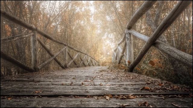 ПЕРЕХОДНЫЙ МОСТИК смотреть онлайн