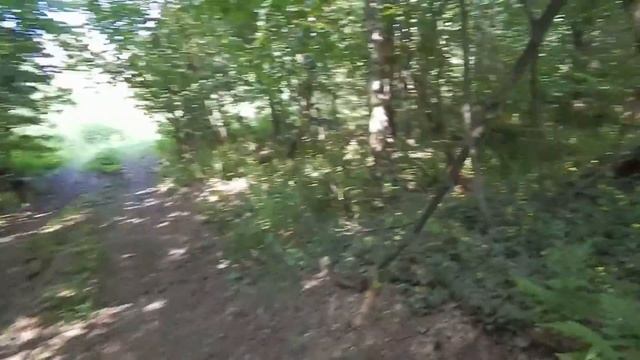 Прогулка в лес за Селково 1 смотреть онлайн