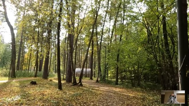 Попав на свадьбу к мэру, врач заметил у невесты одну странность… А когда заглянул ей под платье… смотреть онлайн