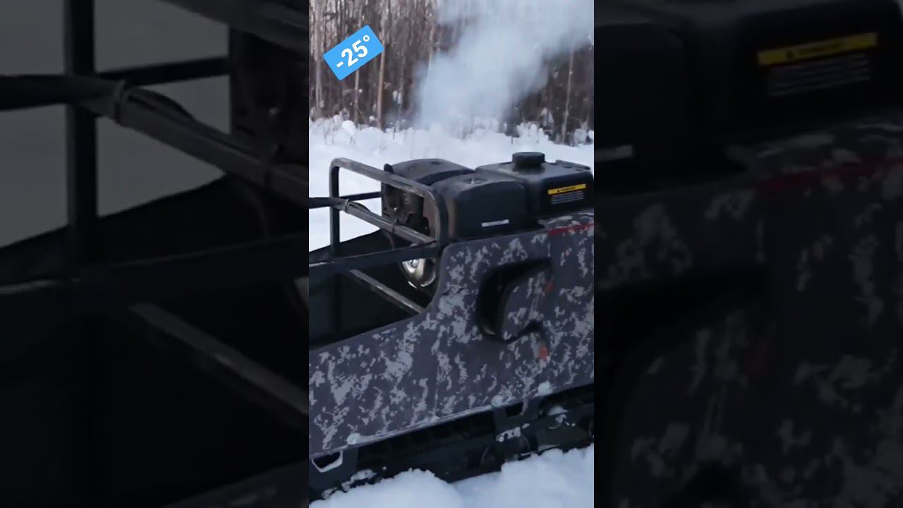 КОЙРА БОГАТЫРЬ ❄️ -25°❄️ @Ventvitalii #мотобуксировщик #хмаоюгра #белоярский смотреть онлайн