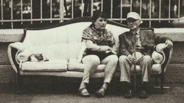 Reza Malekzadeh - Aram Aram Türkçe Lyrics رضا ملک زاده- آرام آرام