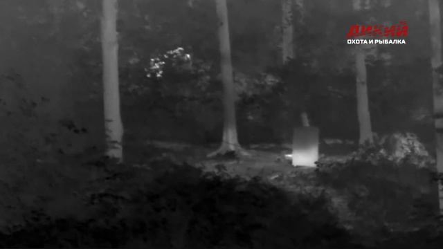 Гималайский медведь. Российский Суперкубок. смотреть онлайн