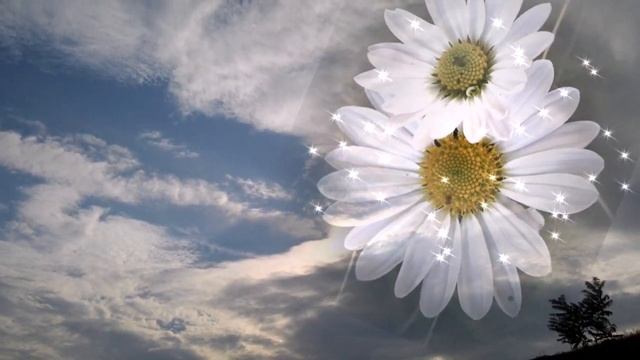 любимая песня двух душ и сердец... Андрей Храмов - Я эту женщину люблю смотреть онлайн